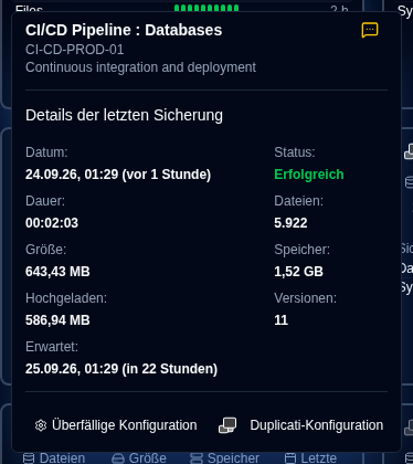 Details zu überfälligen Sicherungen