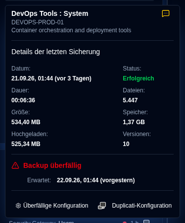 Details zu überfälligen Sicherungen