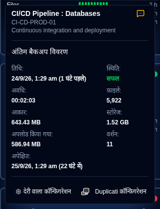 अतिदेय विवरण