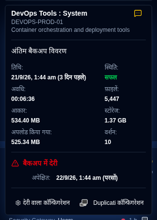 अतिदेय विवरण